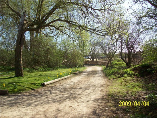 Path leading to Ranch